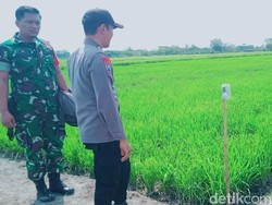 Detik-detik Tragis Bocah 8 Tahun Tewas Kesetrum Jebakan Tikus di Klaten