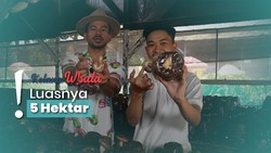 Mengunjungi Perkebunan Jamur dan Nikmati Aneka Olahan Makanannya