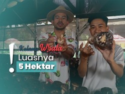Mengunjungi Perkebunan Jamur dan Nikmati Aneka Olahan Makanannya
