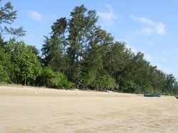 11 Pantai Rekomendasi Wisata Bareng Keluarga dan Sahabat di Bangka Belitung