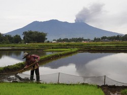 Ombudsman Investigasi Sendiri Dugaan Pelanggaran Gunung Marapi