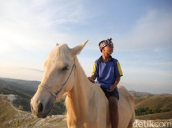Kuda Marlina Asa Pendidikan Bocah Kecil di Bukit Warinding