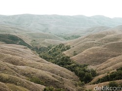 Bukit Warinding, Pesona Savana Sumba yang Berubah Sesuai Musim
