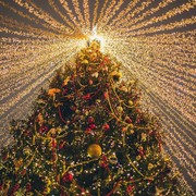 Berencana Rayakan Malam Natal di Korea? 5 Tempat Ini Bisa Jadi Pilihan!