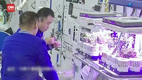 VIDEO: Astronaut China Pamer Bercocok Tanam di Luar Angkasa