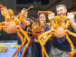 5 Seafood Ukuran Jumbo Ini Ada yang Beratnya Mencapai 453 Kg!