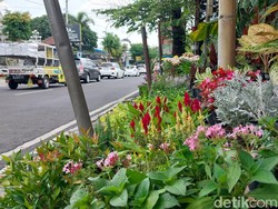 Sejarah Budi Daya Bunga Kota Batu dan Krisis Moneter di Belakangnya