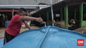 FOTO: Mengintip Pengolahan Kotoran Sapi Jadi Gas Buat Memasak