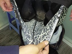 Turis Kepincut Bayi Otter Sampai Rela Selundupkan di Celana