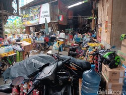 Fakta-fakta Kampung Starling di Ibu Kota, Bisa Tinggal Gratis-Mayoritas Orang Madura