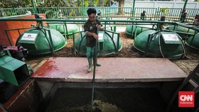 FOTO: Ragunan 'Sulap' Sampah dan Kotoran Hewan Jadi Listrik