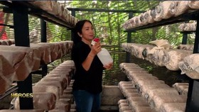 VIEO: CNN Indonesia Heroes: Inspirasi dari Sepetak Kumbung Jamur