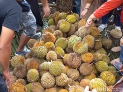 Hai Duren Lover! Durian di Banjarnegara Lagi Murah-murahnya, Cuma Goceng