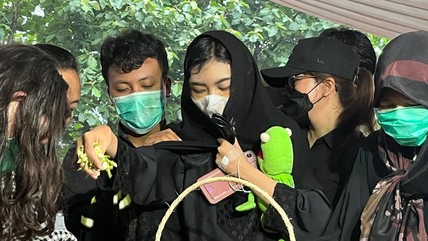Detik Network