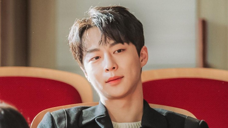 Bae In Hyuk di Drama Korea My Roommate Is a Gumiho