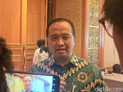 Aguan cs Mau Bangun Kebun Raya di IKN, Bagaimana Kelanjutannya?