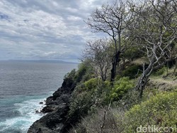 Proyek Resor Mewah di Bukit Asah Bali: Didukung Bupati hingga Ditelusuri DPRD