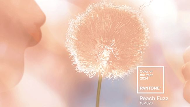 Yang ditunggu-tunggu akhirnya tiba. Pantone Color Institute sudah mengeluarkan panduan warna 2024.