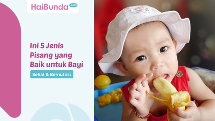 Detik Network