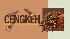 INFOGRAFIS: Pikat Cengkeh, Rempah Asli Nusantara