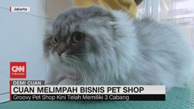 VIDEO: Raup Cuan Melimpah Dari Bisnis Petshop
