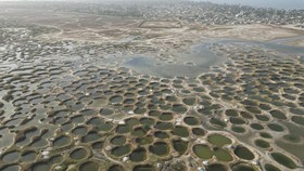 FOTO: Kepincut Pesona Sumur Garam Delta Sine-Saloum di Senegal