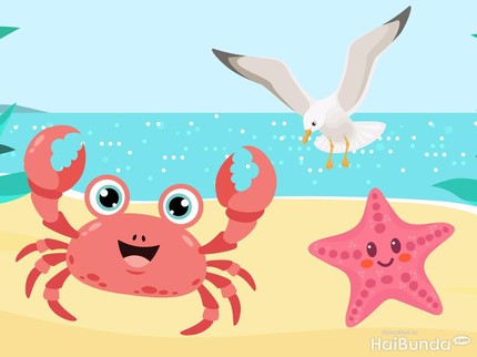 Dongeng Anak: Persahabatan Kepiting, Burung Camar, dan Bintang Laut