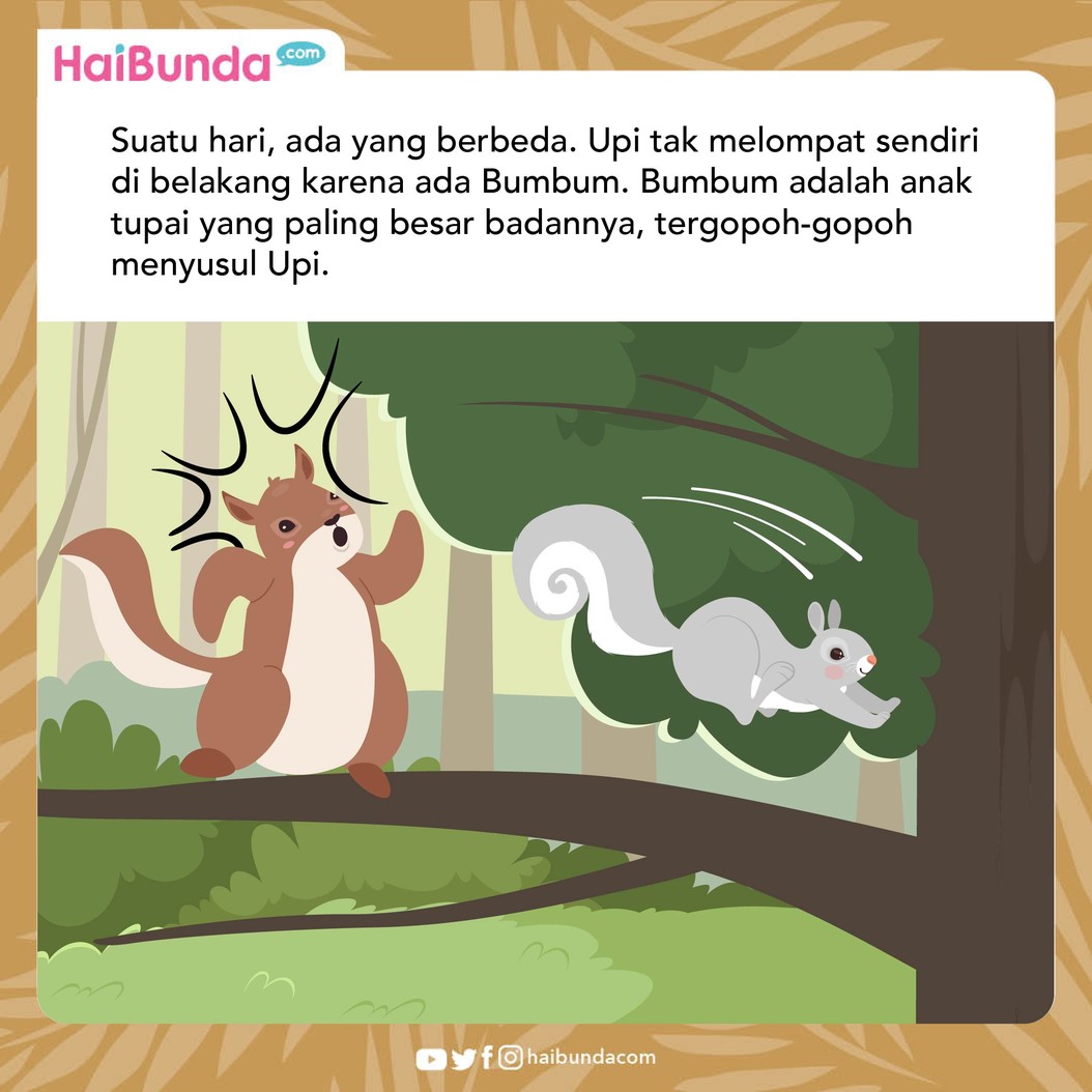 Seekor tupai bernama Upi tidak percaya diri karena tak pandai meloncat. Suatu hari, ada tupai lainnya yang menyaksikan kehebatan Upi. Baca selengkapnya yuk!