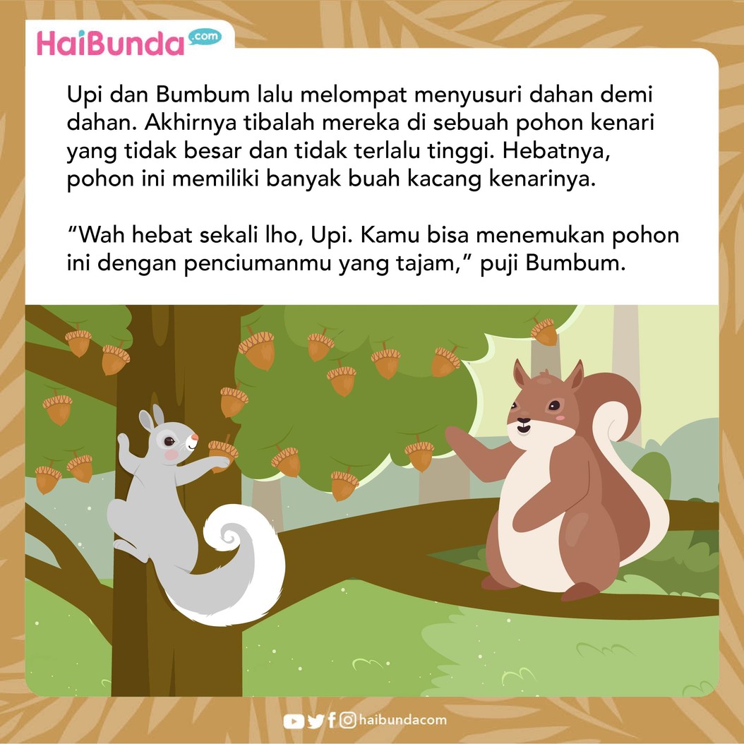Seekor tupai bernama Upi tidak percaya diri karena tak pandai meloncat. Suatu hari, ada tupai lainnya yang menyaksikan kehebatan Upi. Baca selengkapnya yuk!