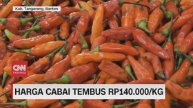 VIDEO: Harga Cabai Tembus Rp140.000/Kg