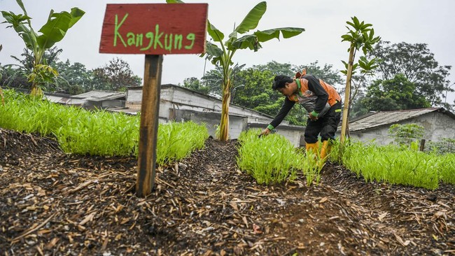 FOTO: Upaya DKI Daur Ulang Sampah Ciliwung Jadi Kompos dan RDF