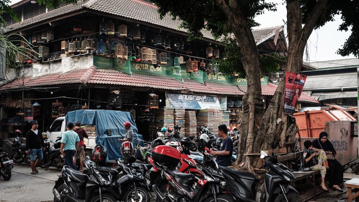 FOTO: Menikmati Kicauan Merdu dari Pasar Burung Tertua di Jakarta