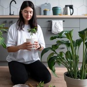 Bikin Dapur Makin Cantik, Ini 5 Tanaman Hias yang Bisa Kamu Tanam