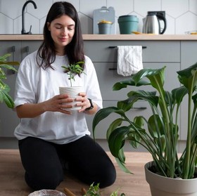 Bikin Dapur Makin Cantik, Ini 5 Tanaman Hias yang Bisa Kamu Tanam