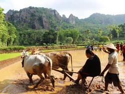 Apa Itu Quality Tourism yang Kini Jadi Fokus Dispar Jogja?