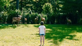 7 Rekomendasi Film Netflix buat Ditonton saat Tahun Baru