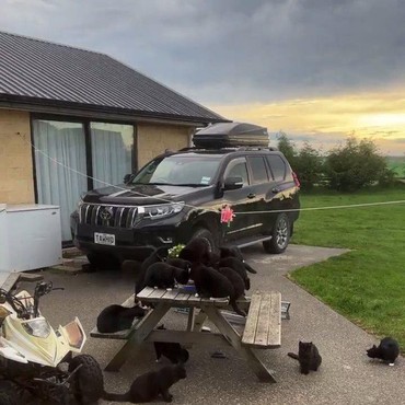 Dinikahi Saudagar Kaya, 8 Potret Rumah Peggy Melati di Selandia Baru