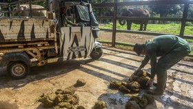FOTO: Memanen Listrik dari Kotoran Gajah Ragunan
