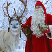 5 Kota Paling Meriah Rayakan Natal, Favorit Liburan Lihat Aurora di Desa Santa