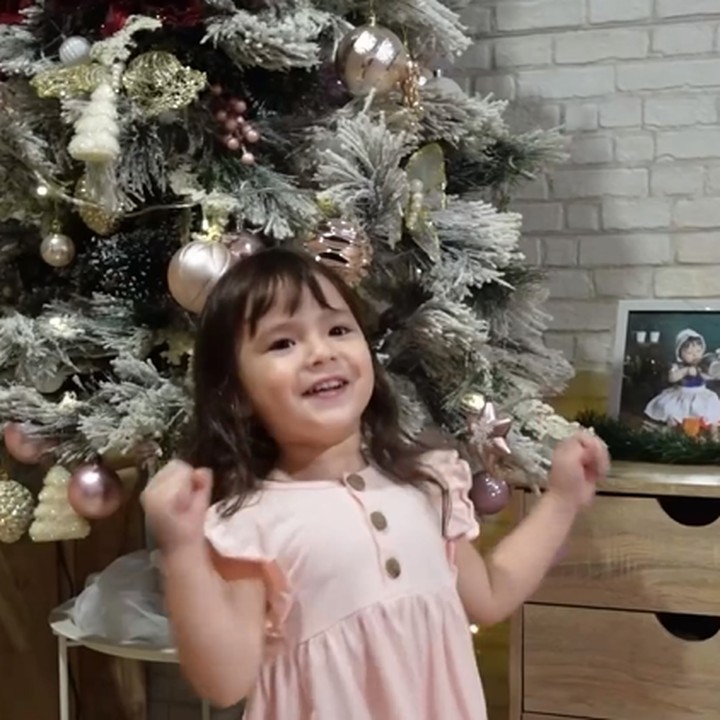 <p>Selanjutnya ada potret pohon natal Asmirandah. Melalui akun pribadi, istri Jonas Rivanno ini menunjukkan pohon Natal lengkap dengan hiasan dan sang putri yang terlihat antusias menerima kado. (Foto: Instagram @asmirandah89)<br /><br /><br /></p>
