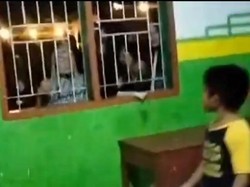 Pesantren Darul Istiqamah Luwu Diserang-Dibakar OTK, Santriwati Dilecehkan