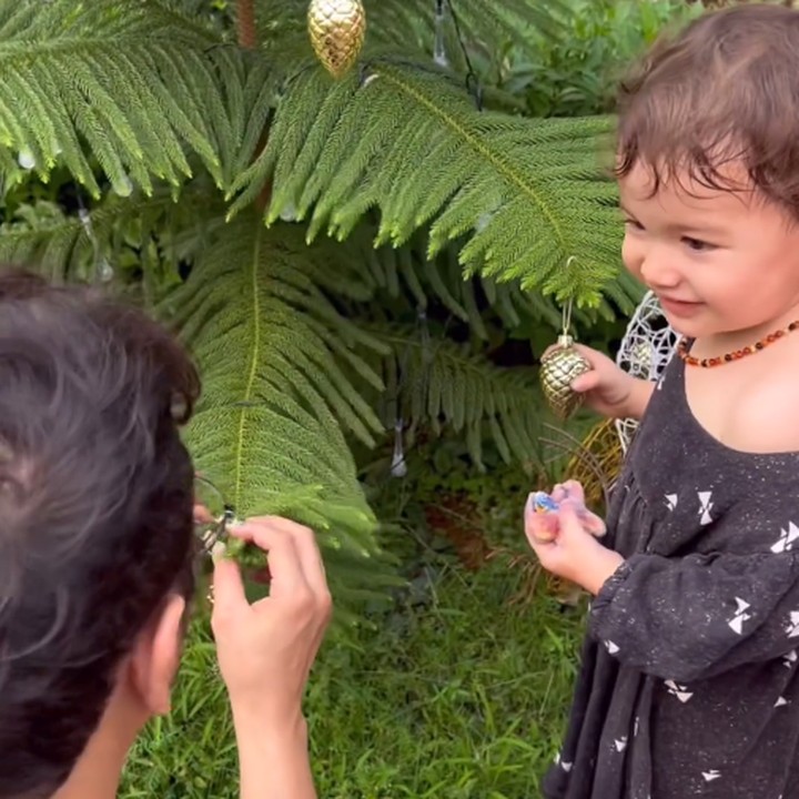 <p>"Natalan 2023, ber-4! Senangnya pohon Natal kami asli dan ditanam mendekati Djiwa lahir," tulis Nadine dengan emotikon berwarna oranye. (Foto: Instagram: @nadinelist)</p>