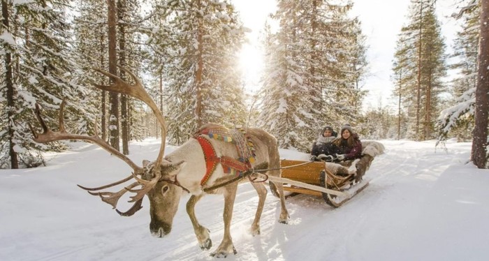 Kota Paling Meriah Rayakan Natal, Favorit Melihat Aurora