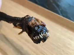 Camilan Belut di Jepang Ini Tampilannya Seram Mirip Alien