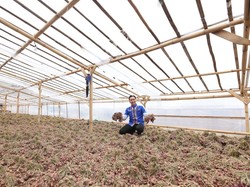 Serap Aspirasi Petani Bawang, Ibas Ajak Pilih yang Dengar Suara Rakyat