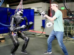 Saat Robot Uji Coba Sparring dengan Manusia
