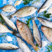 Hati-hati, 5 Jenis Ikan yang Tidak Boleh Dikonsumsi oleh Penderita Darah Tinggi