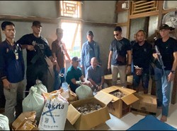 Gakkum KLHK Bongkar Kasus Perdagangan Sisik Trenggiling di Kalbar