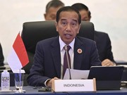 Jokowi Sebut IKN Nusantara Aman, Tidak Ada Kejahatan Sama Sekali