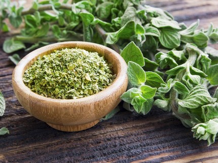7 Tanaman Herbal yang Berkhasiat seperti Antibiotik, Bantu Jaga Daya Tahan Tubuh